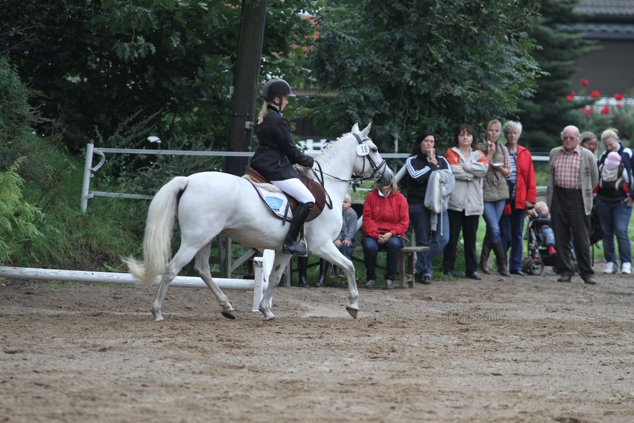 Bild 366 - WBO-Turnier am 18.9.11